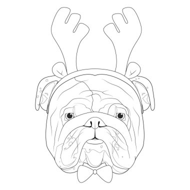 Boyama için Noel tebrik kartı. Ren geyiği boynuzlarıyla İngiliz Bulldog 'u