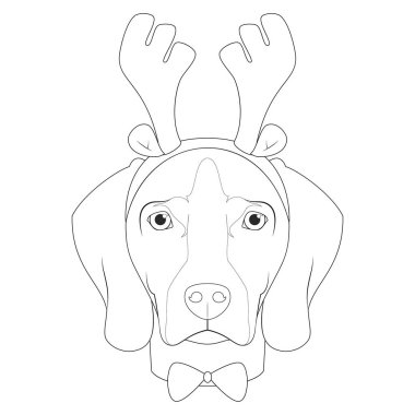 Boyama için Noel tebrik kartı. Geyik boynuzları ve papyonlu Weimaraner köpeği.