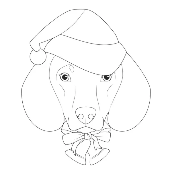 Karácsonyi Üdvözlőlap Színezés Tacskó Kutya Mikulás Sapkával Karácsonyi Harangokkal — Stock Vector
