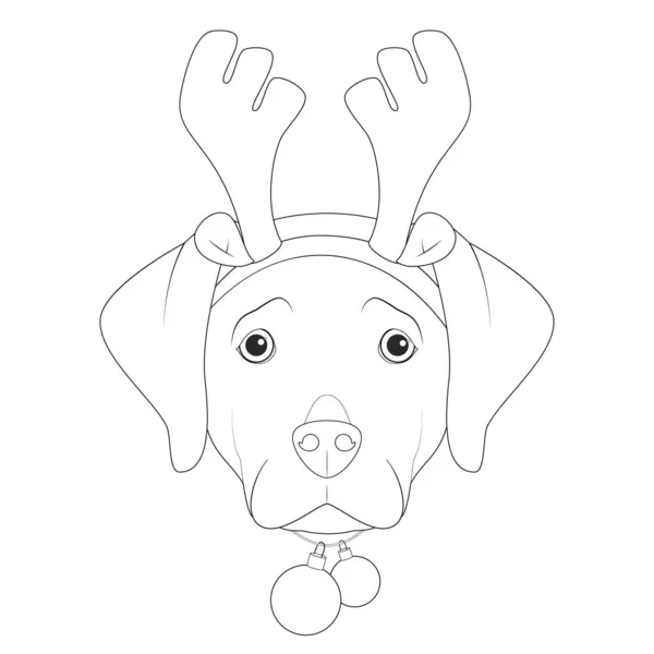 圣诞贺卡 用于着色 拉布拉多猎犬 带驯鹿角和圣诞玩具球 — 图库矢量图片