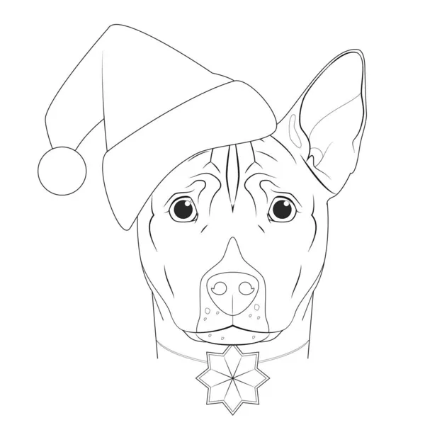 Tarjeta Felicitación Navidad Para Colorear Perro Basenji Con Sombrero Santa — Vector de stock