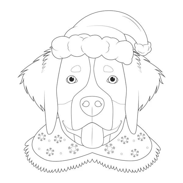 Tarjeta Felicitación Navidad Para Colorear Bernese Perro Montaña Con Sombrero — Vector de stock