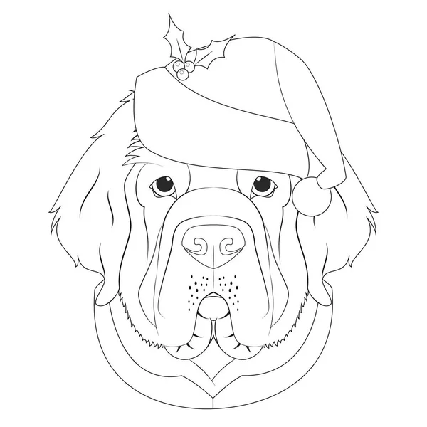 Weihnachtsgrußkarte Zum Ausmalen Neufundländer Hund Mit Weihnachtsmütze — Stockvektor