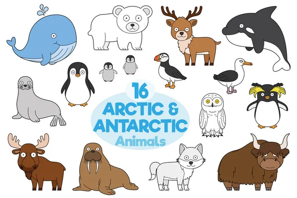 Zestaw Arktycznych Antarktycznych Zwierząt Kreskówkowym Stylu Vector Illustration — Wektor stockowy