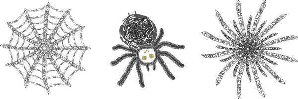 Vektorbilder Von Spinnweben Und Spinnen Auf Weißem Hintergrund Ein Clip — Stockvektor