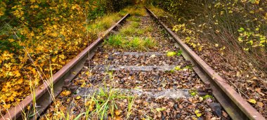fazla gelişmiş terkedilmiş tren rayları