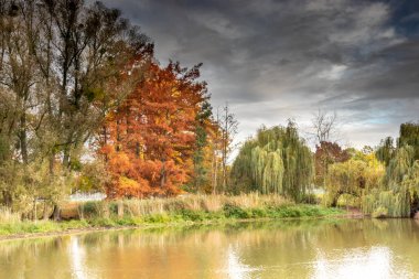 Alman parkında renkli bir sonbahar gölü kıyısı