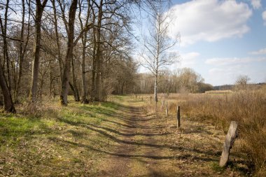 Bir tarafında çit olan ormandan geçen toprak bir yol.