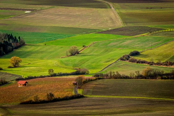 Duitse Landbouwgrond Druivenboomgaarden Herfst — Stockfoto