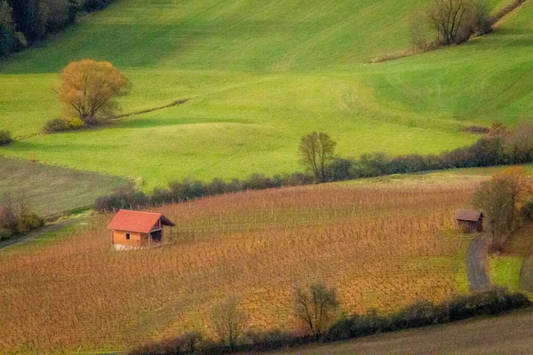Tysk Jordbruksmark Och Vinodlingar Hösten — Stockfoto