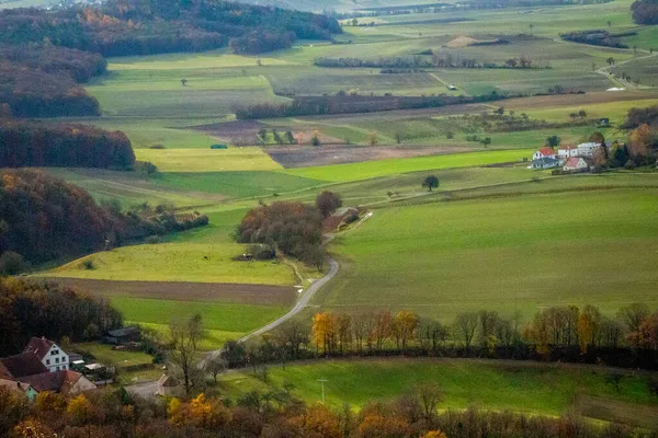 Terreni Agricoli Tedeschi Frutteti Uva Autunno — Foto Stock