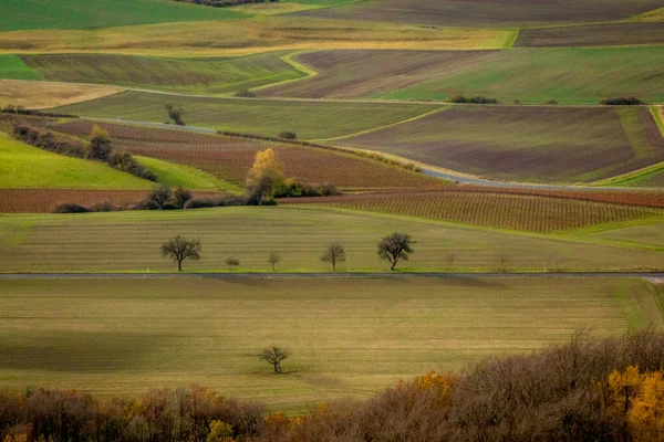 Německá Zemědělská Půda Vinné Sady Podzim — Stock fotografie