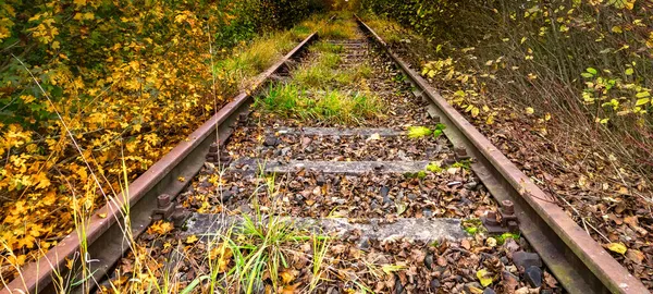 Κατάφυτες Εγκαταλελειμμένες Σιδηροδρομικές Γραμμές — Φωτογραφία Αρχείου