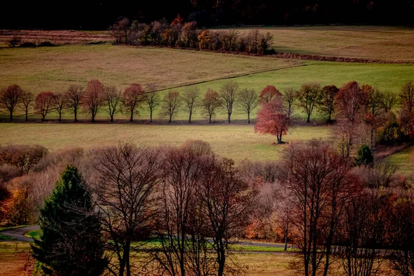 Champ Coloré Automne — Photo