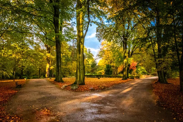 Parkweg Herbst — Stockfoto
