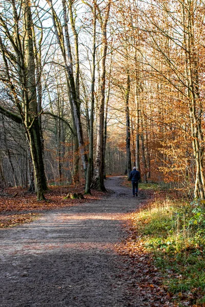 Homem Caminhando Por Caminho Sinuoso — Fotografia de Stock