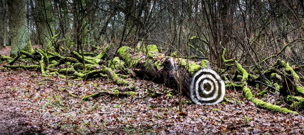 target drawn on a fallen tree