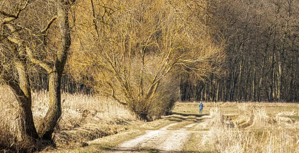 Людина Йде Сільській Дорозі — стокове фото