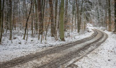 Karla kaplı bir ormanda dolambaçlı toprak bir yol.
