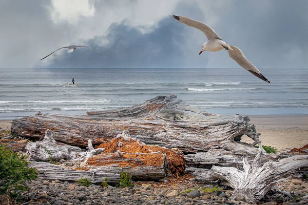 Дрифт Пляжі Чайками Серфером — стокове фото