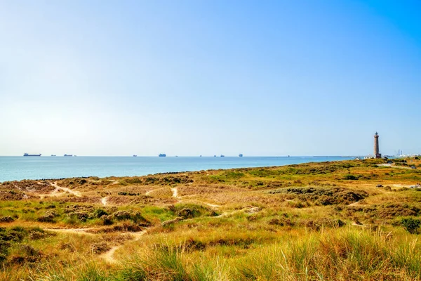 Uitzicht Het Strand Oceaan Skagen Denemarken — Stockfoto