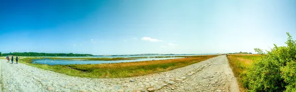 Vägen Till Castle Ruin Ronde Mols Bjerge Danmark — Stockfoto