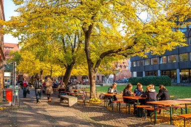 Üniversite, Heidelberg, Baden Wuerttemberg, Almanya 