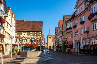 Marbach am Neckar, Almanya 'nın tarihi pazarı 