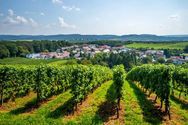 Asma bahçeleri Untergruppenbach, Bavyera, Almanya 