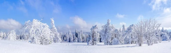 Schönes Winterwunderland Schwarzwald Deutschland — Stockfoto