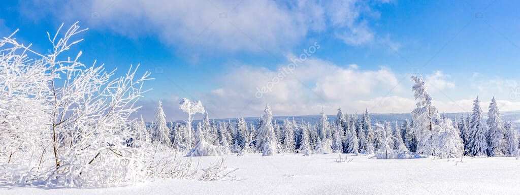 Beautiful winter wonderland, Black Forest, Germany 