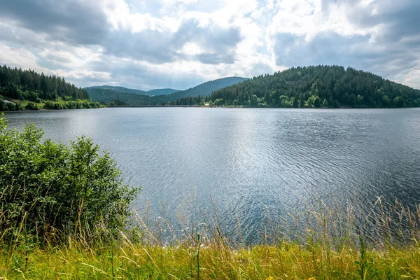 Güzel Schluchsee, Kara Orman, Almanya 