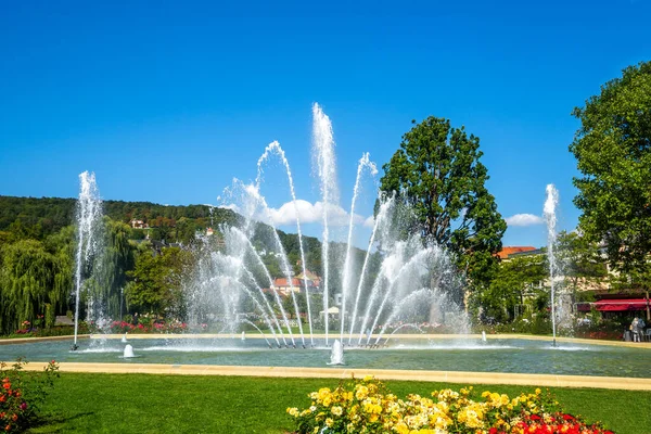 Rose Garden Bad Kissingen Bavaria Jerman — Stok Foto