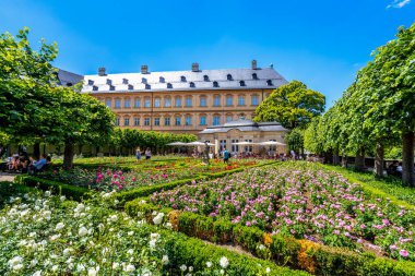 Gül bahçesi, Bamberg, Bavyera, Almanya 