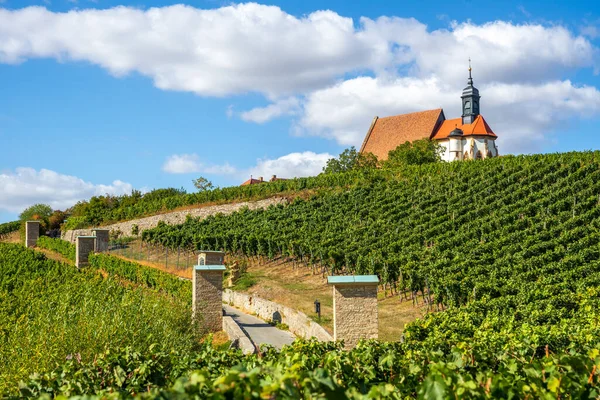 Zabytkowy Kościół Winnicach Volkach Niemcy — Zdjęcie stockowe