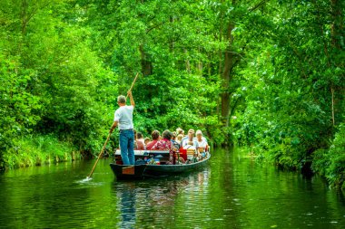 Spreewald Luebbenau yakınlarında, Brandenburg, Almanya 