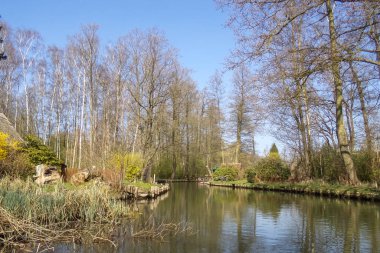 Spreewald Luebbenau yakınlarında, Brandenburg, Almanya 