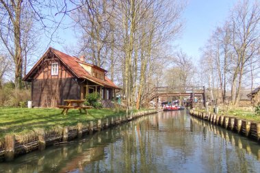 Spreewald Luebbenau yakınlarında, Brandenburg, Almanya 