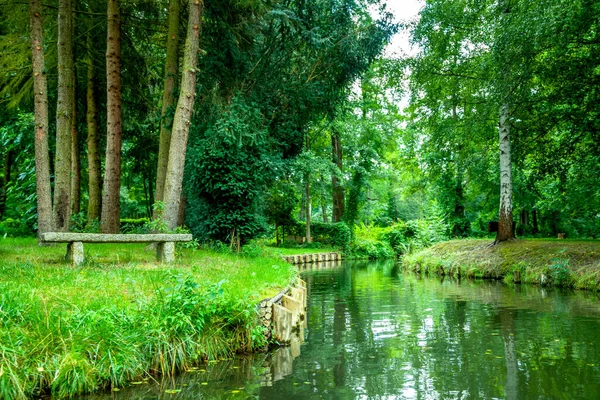 Spreewald Près Luebbenau Brandebourg Allemagne — Photo