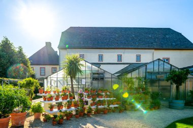 Portakal, Bad Homburg vor der Hhe, Hessen, Almanya 