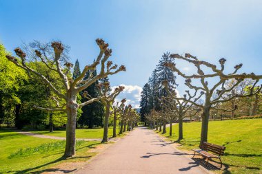 Bad Orb Halk Parkı, Hessen, Almanya 