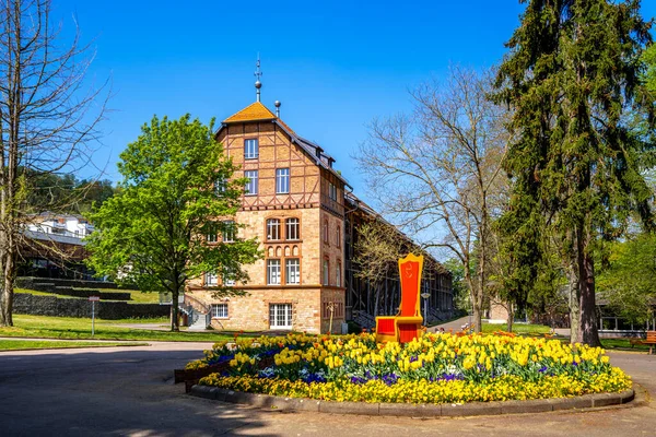 Allmän Park Bad Orb Hessen Tyskland — Stockfoto
