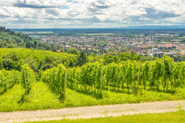 Vista Sobre Bensheim Hessen Alemanha — Fotografia de Stock