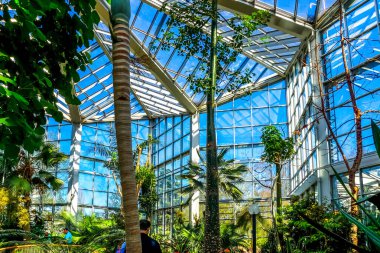 Palmengarten, Frankfurt am Main, Hessen, Almanya 