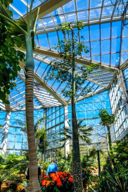 Palmengarten, Frankfurt am Main, Hessen, Almanya 