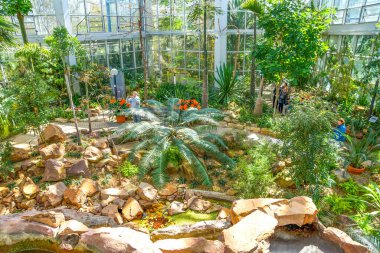 Palmengarten, Frankfurt am Main, Hessen, Almanya 