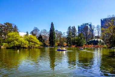 Palmengarten, Frankfurt am Main, Hessen, Almanya 