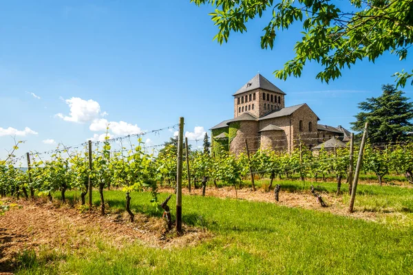 Igreja Mosteiro Johannisberg Rheingau Ruedesheim — Fotografia de Stock