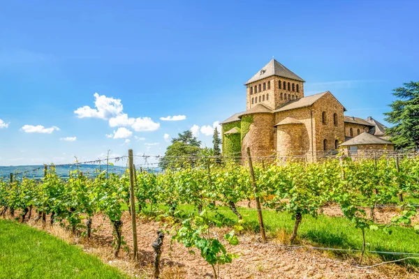 Kerk Klooster Johannisberg Rheingau Ruedesheim — Stockfoto