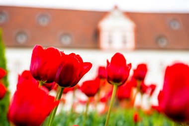 Heusenstamm Kalesi, Hessen, Almanya 